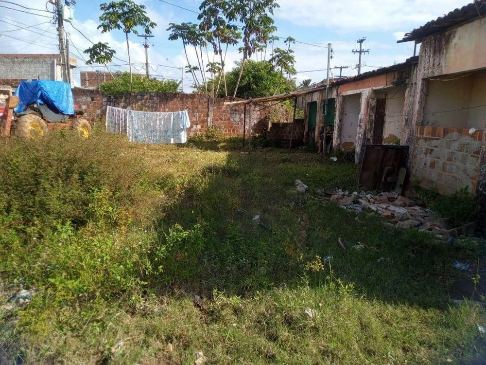 Terreno, 250 m² - Foto 3