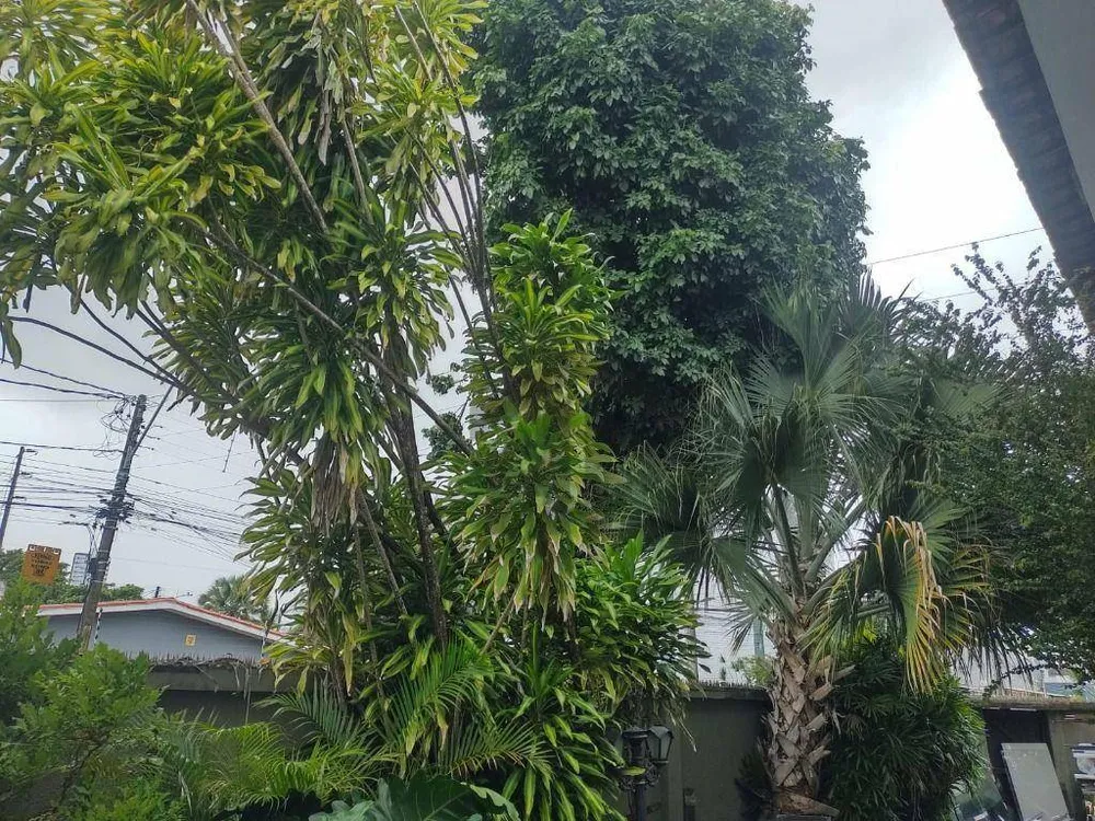 Casa, 6 quartos, 450 m² - Foto 16