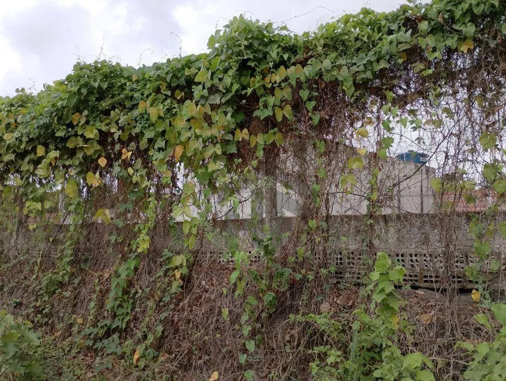 Loteamento e Condomínio, 520 m² - Foto 4