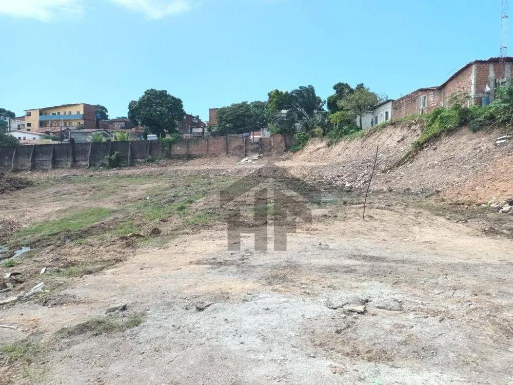 Terreno, 1 hectares - Foto 7