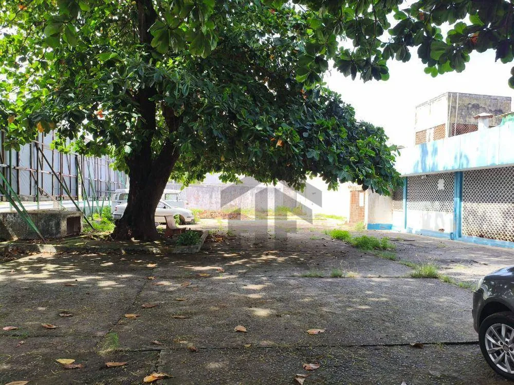 Terreno, 1 hectares - Foto 4