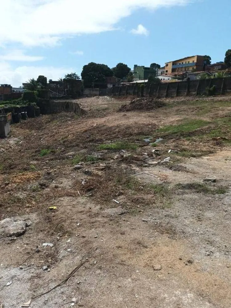 Terreno, 1 hectares - Foto 8