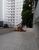 Apartamento, 3 quartos, 125 m² - Foto 4