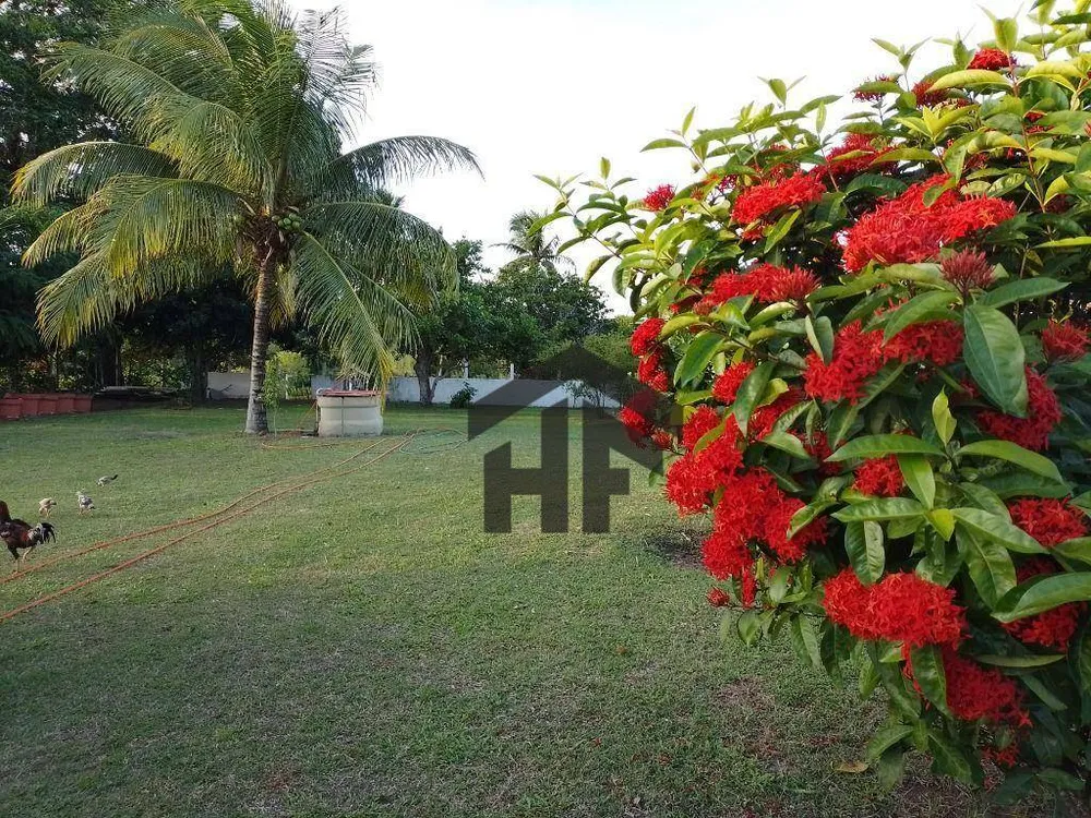 Terreno, 800 m² - Foto 12