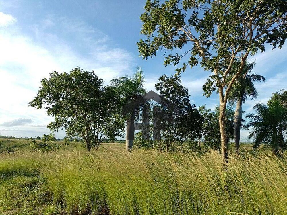 Terreno, 800 m² - Foto 3