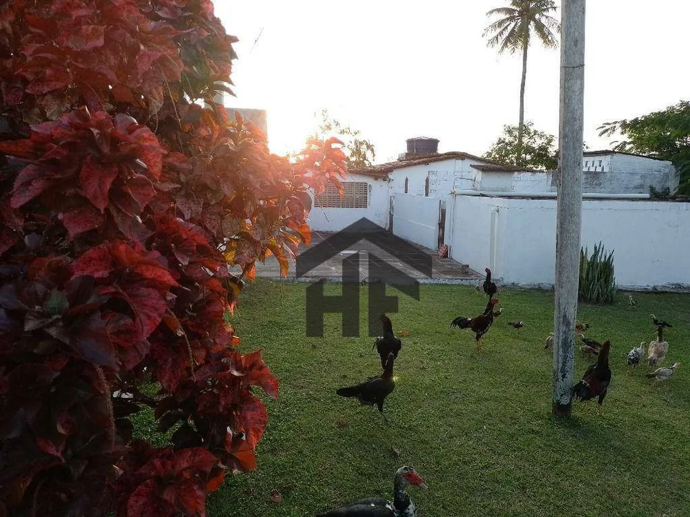 Terreno, 800 m² - Foto 13