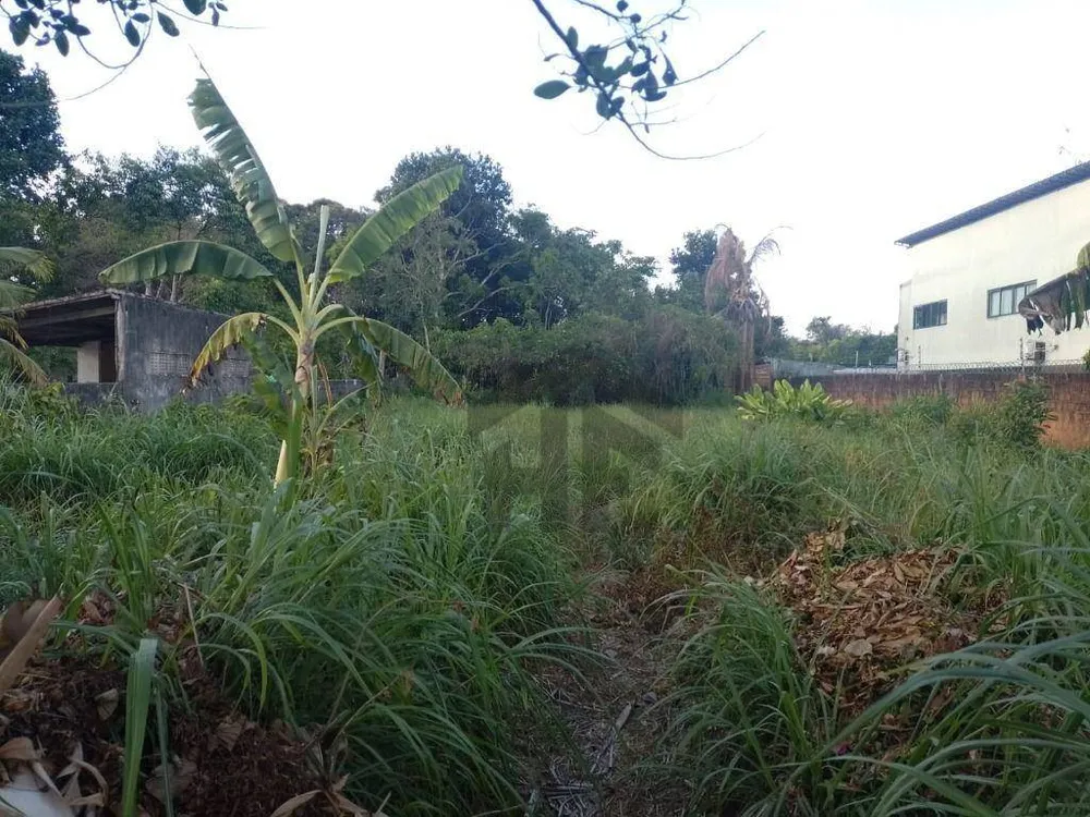 Terreno, 1000 m² - Foto 4