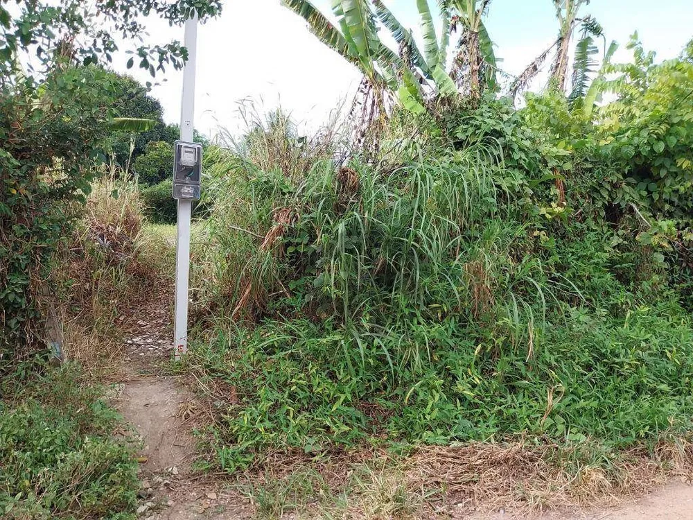 Terreno, 1000 m² - Foto 6