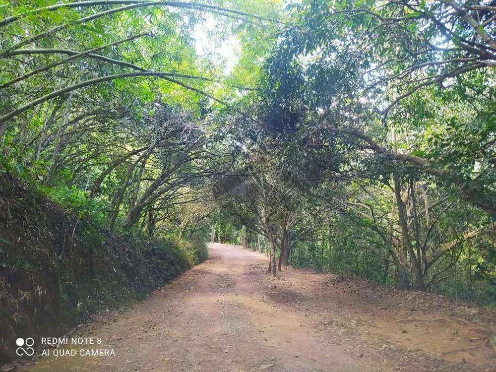 Loteamento e Condomínio, 1700 m² - Foto 5