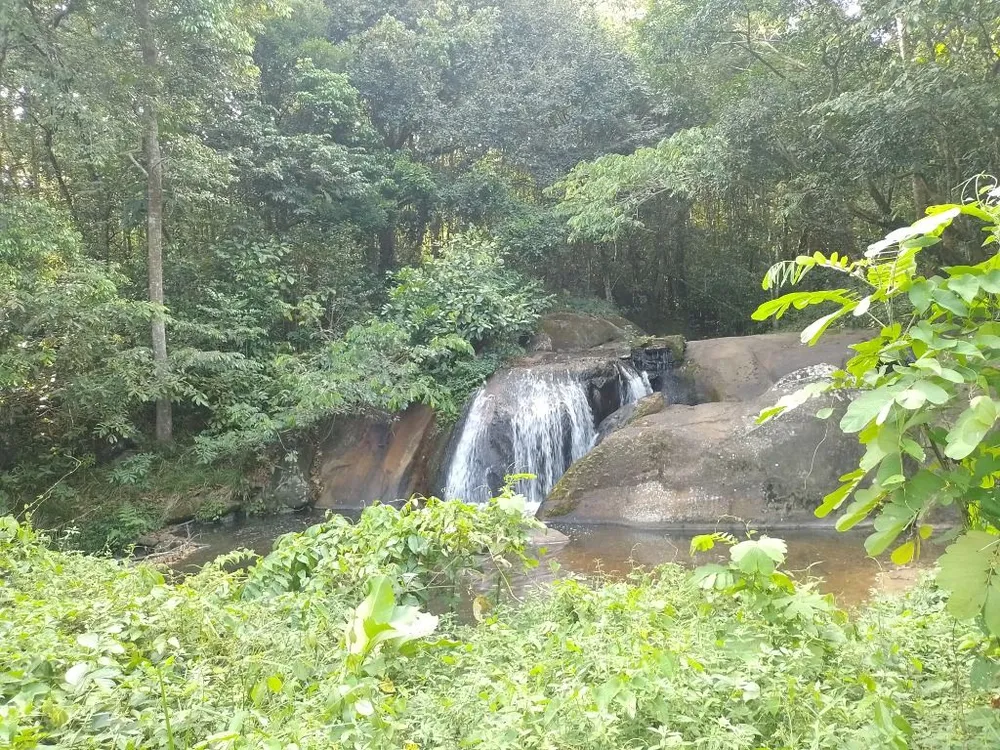 Chácara, 7 quartos, 5 hectares - Foto 13