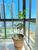 Apartamento, 4 quartos, 207 m² - Foto 1