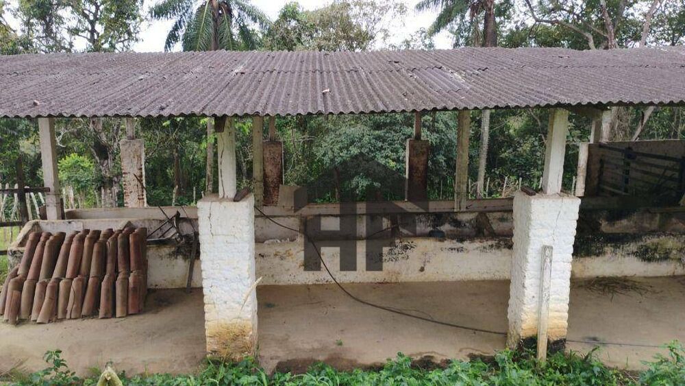 Chácara à venda e aluguel com 6 quartos, 300m² - Foto 6
