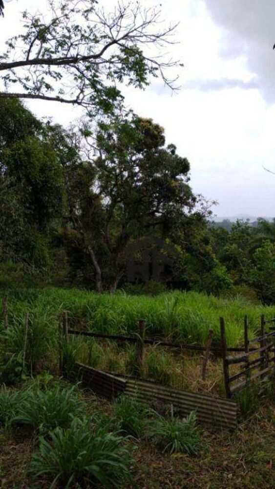 Chácara à venda e aluguel com 6 quartos, 300m² - Foto 10