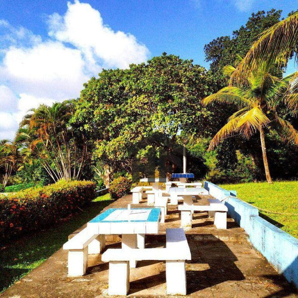 Chácara, 5 quartos, 10000 m² - Foto 4