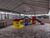 Apartamento, 4 quartos, 182 m² - Foto 2