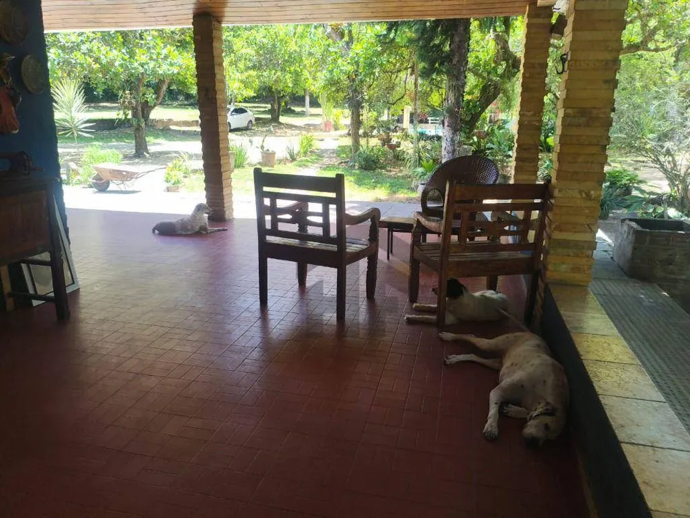 Chácara, 3 quartos, 1 hectares - Foto 3