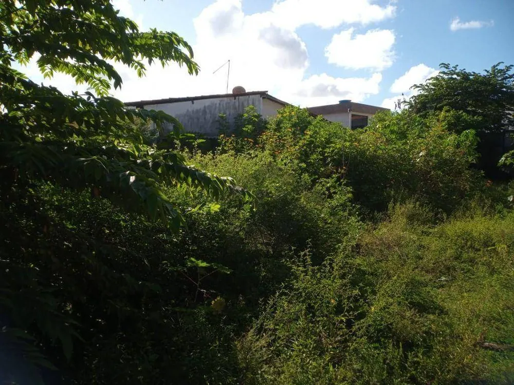 Terreno, 420 m² - Foto 7