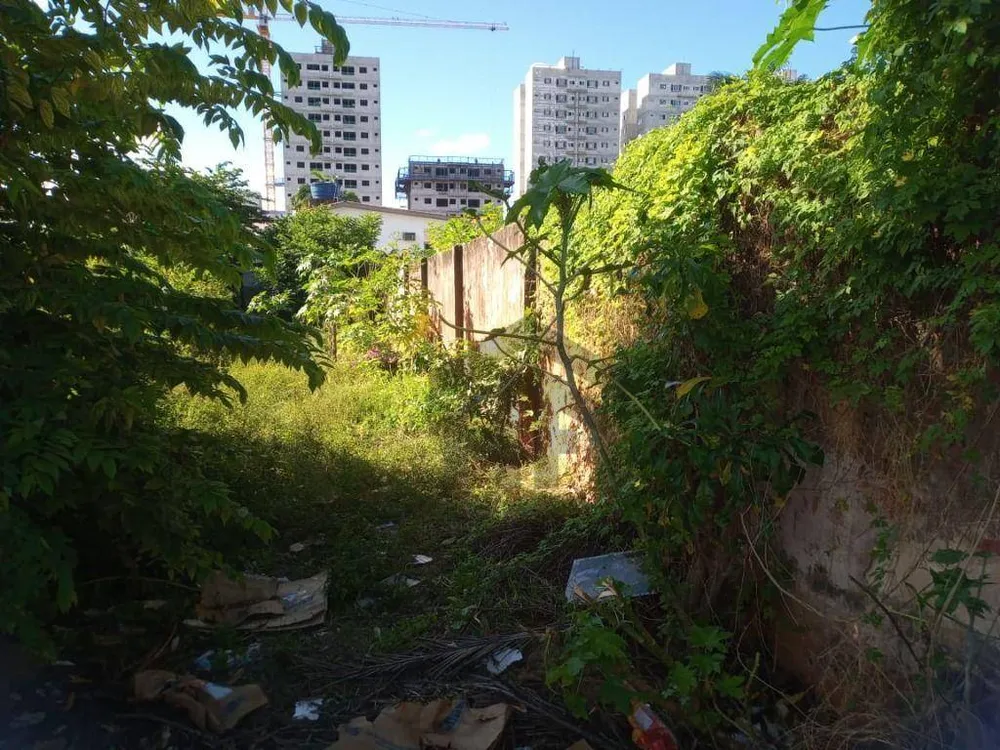 Terreno, 420 m² - Foto 9