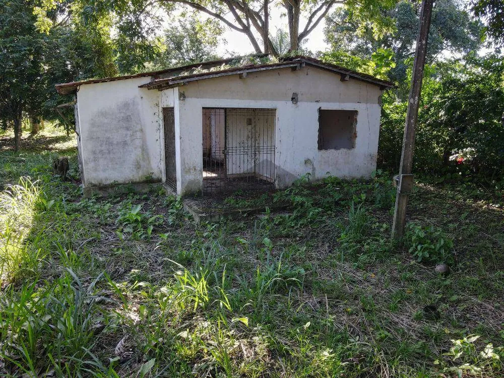 Terreno, 2000 m² - Foto 2