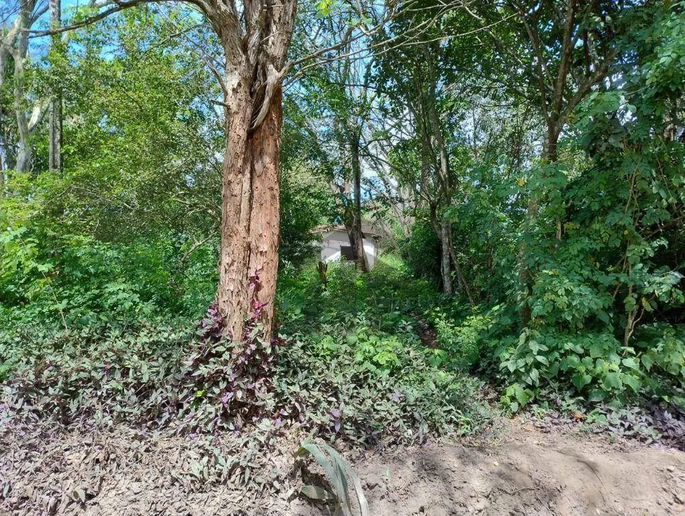 Terreno, 2000 m² - Foto 5