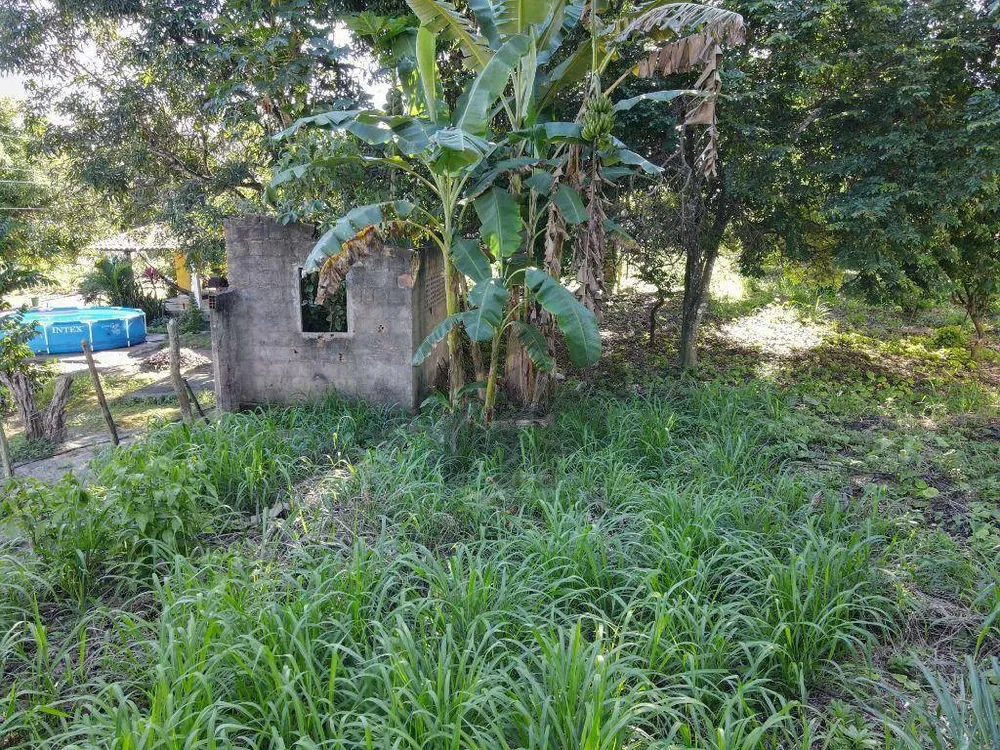 Terreno, 2000 m² - Foto 3
