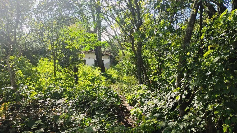 Terreno, 2000 m² - Foto 4