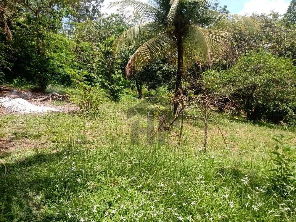 Chácara, 6 quartos, 5600 m² - Foto 15