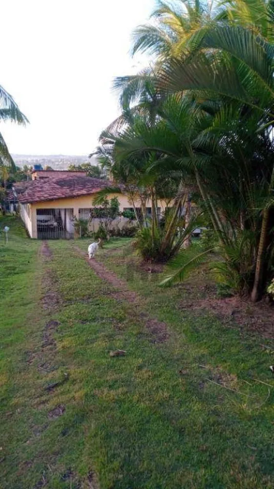 Chácara, 6 quartos, 5600 m² - Foto 11