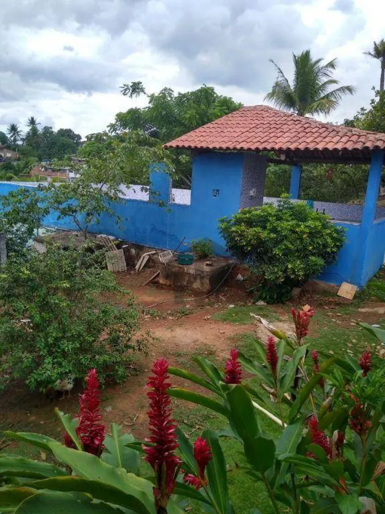 Chácara, 6 quartos, 5600 m² - Foto 12