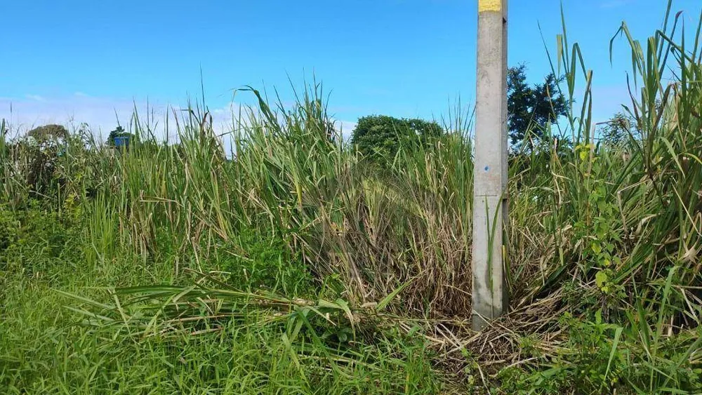 Terreno, 360 m² - Foto 6