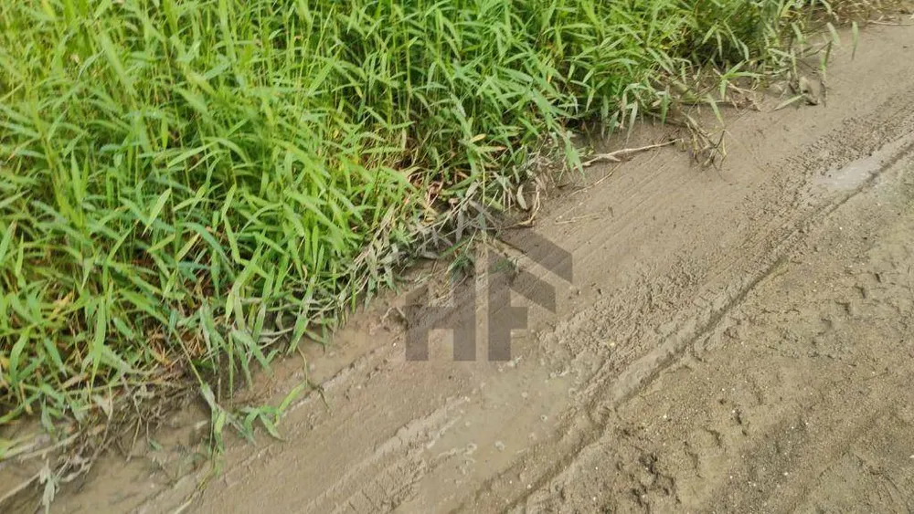 Terreno, 360 m² - Foto 5