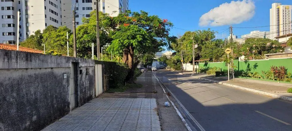 Casa, 3 quartos, 238 m² - Foto 10