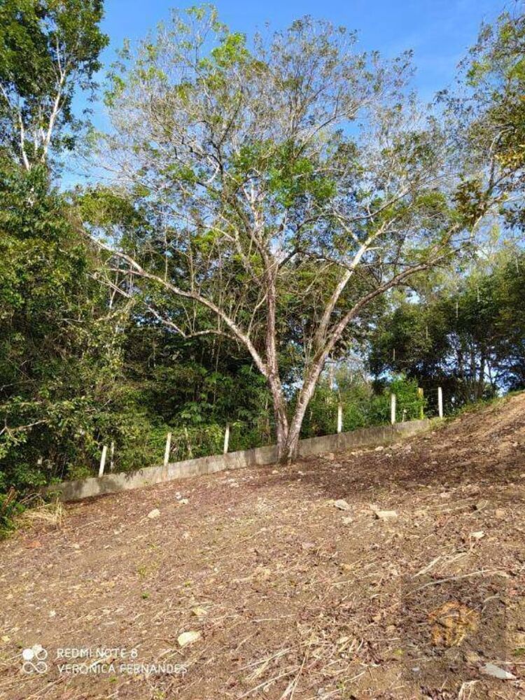 Loteamento e Condomínio, 4959 m² - Foto 6