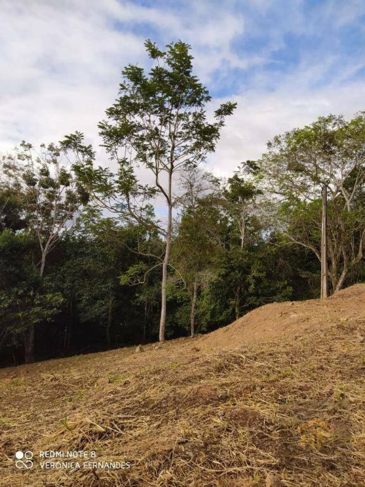 Loteamento e Condomínio, 4959 m² - Foto 8