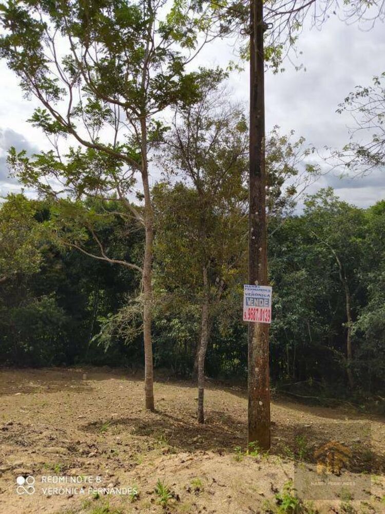 Loteamento e Condomínio, 4959 m² - Foto 7