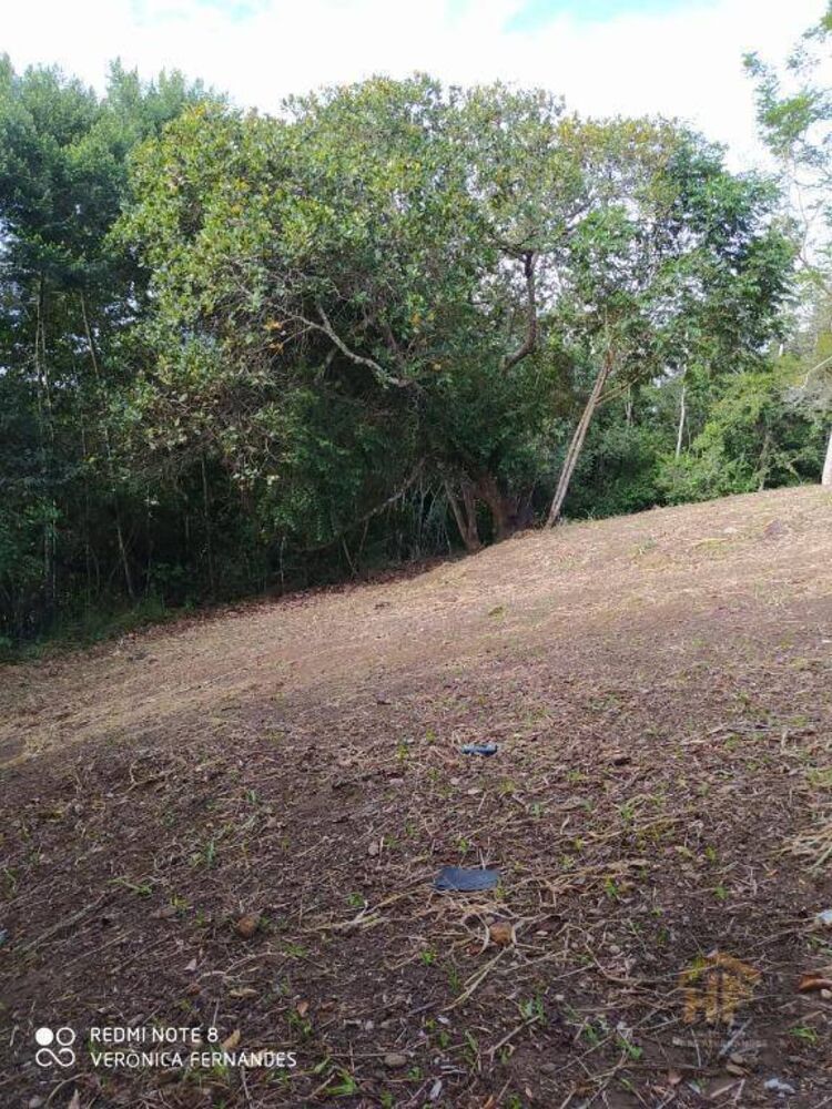 Loteamento e Condomínio, 4959 m² - Foto 10