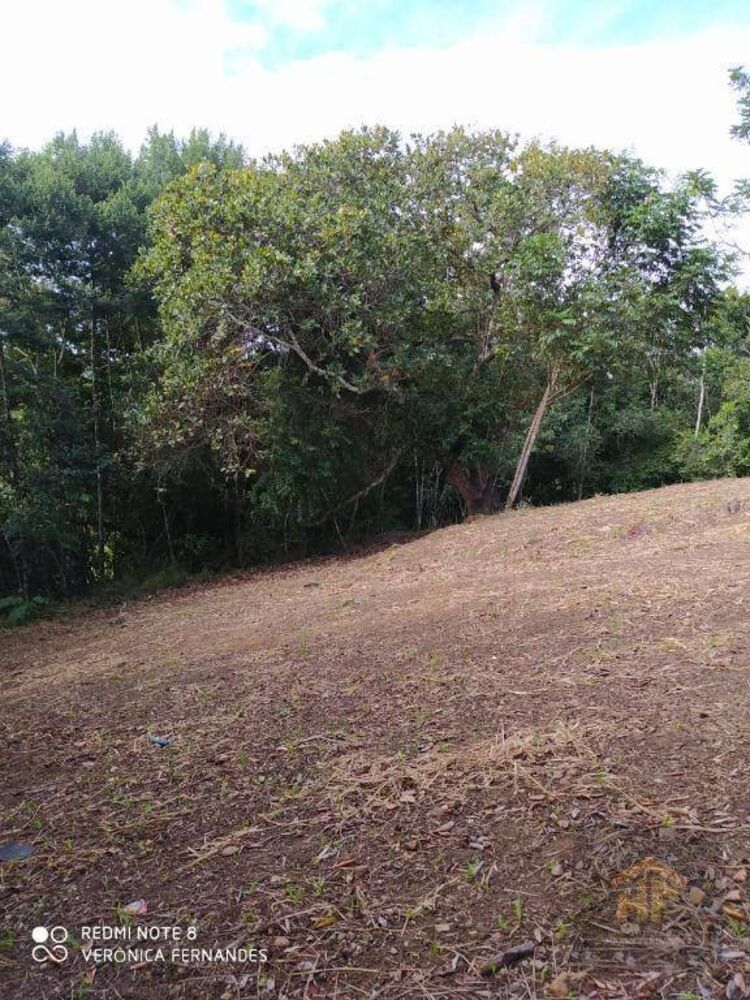 Loteamento e Condomínio, 4959 m² - Foto 3