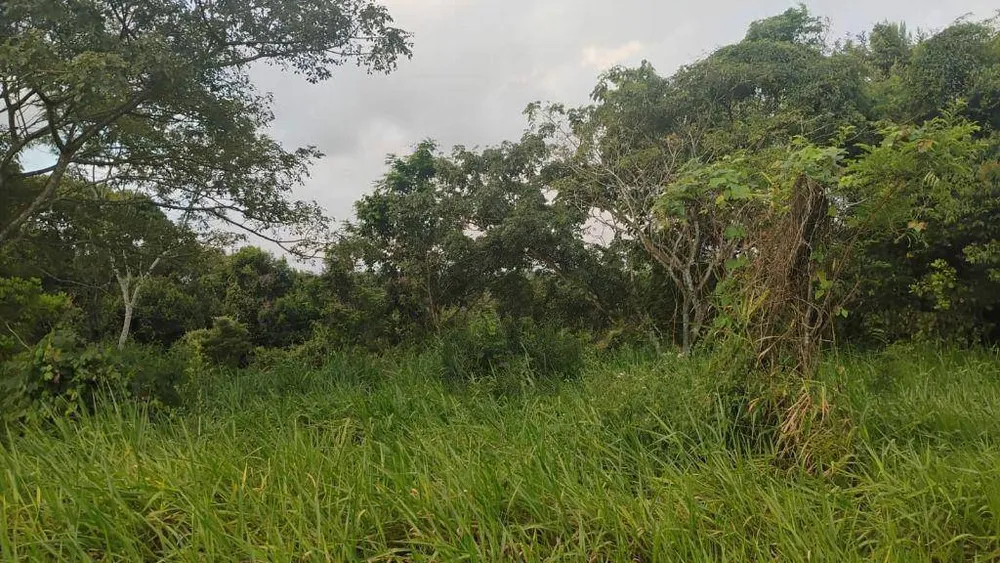 Terreno, 574 m² - Foto 6
