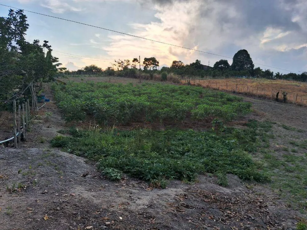 Chácara, 2 quartos, 1200 hectares - Foto 15
