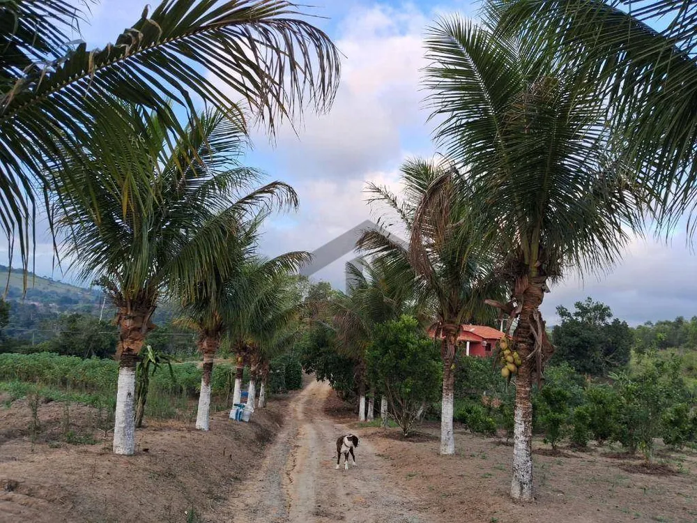 Chácara, 2 quartos, 1200 hectares - Foto 13