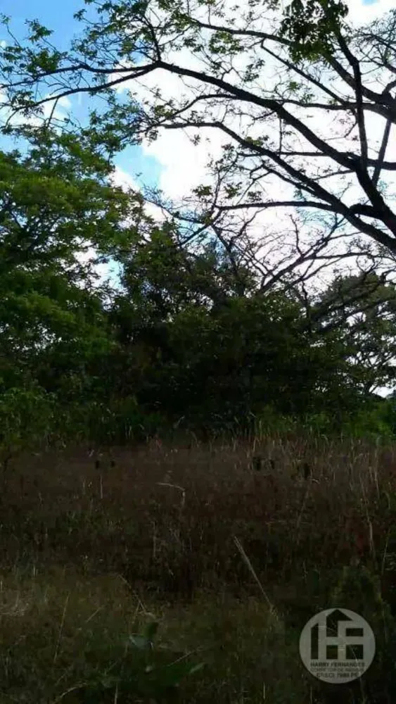 Chácara, 3 quartos, 9 hectares - Foto 2