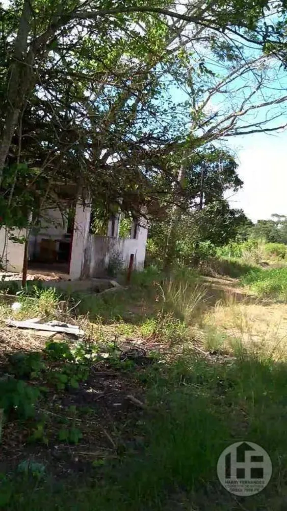Chácara, 3 quartos, 9 hectares - Foto 3