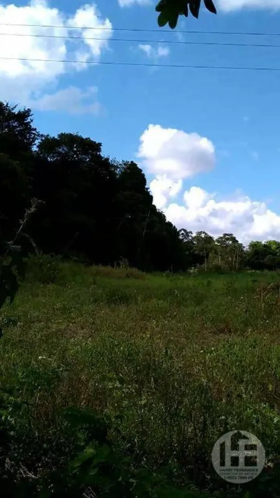 Chácara, 3 quartos, 9 hectares - Foto 4