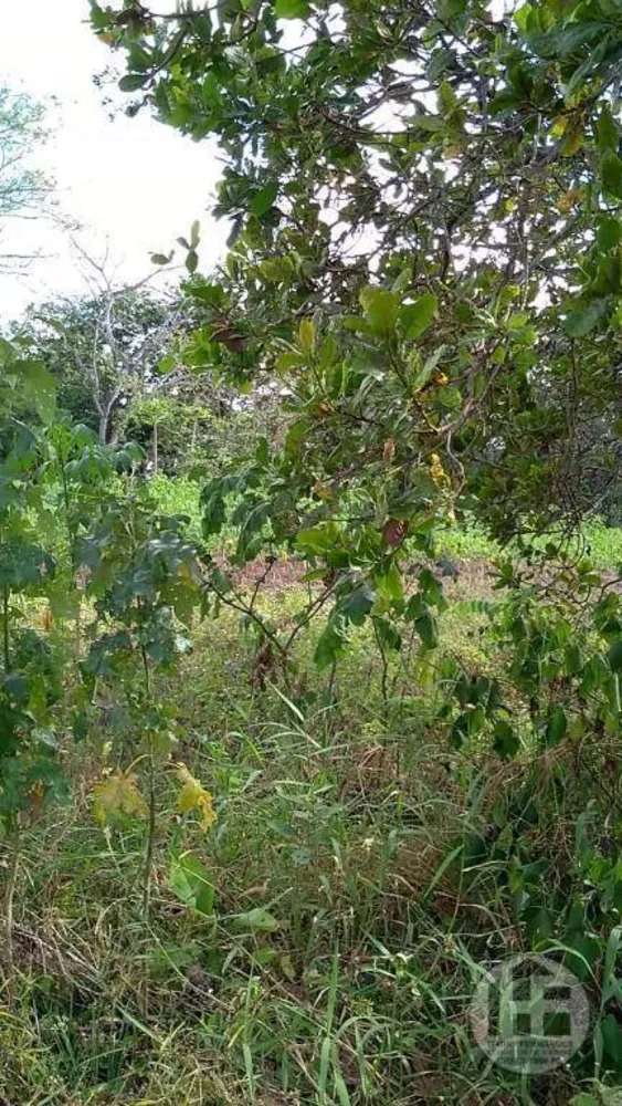 Chácara, 3 quartos, 9 hectares - Foto 7