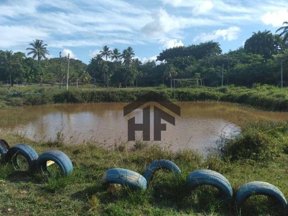 Chácara, 6 quartos, 3 hectares - Foto 20