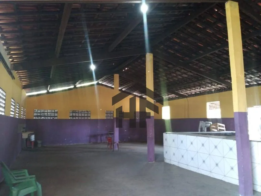 Chácara, 6 quartos, 3 hectares - Foto 7