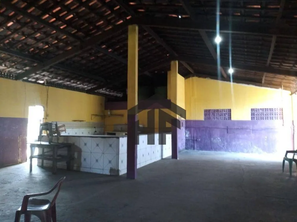 Chácara, 6 quartos, 3 hectares - Foto 6