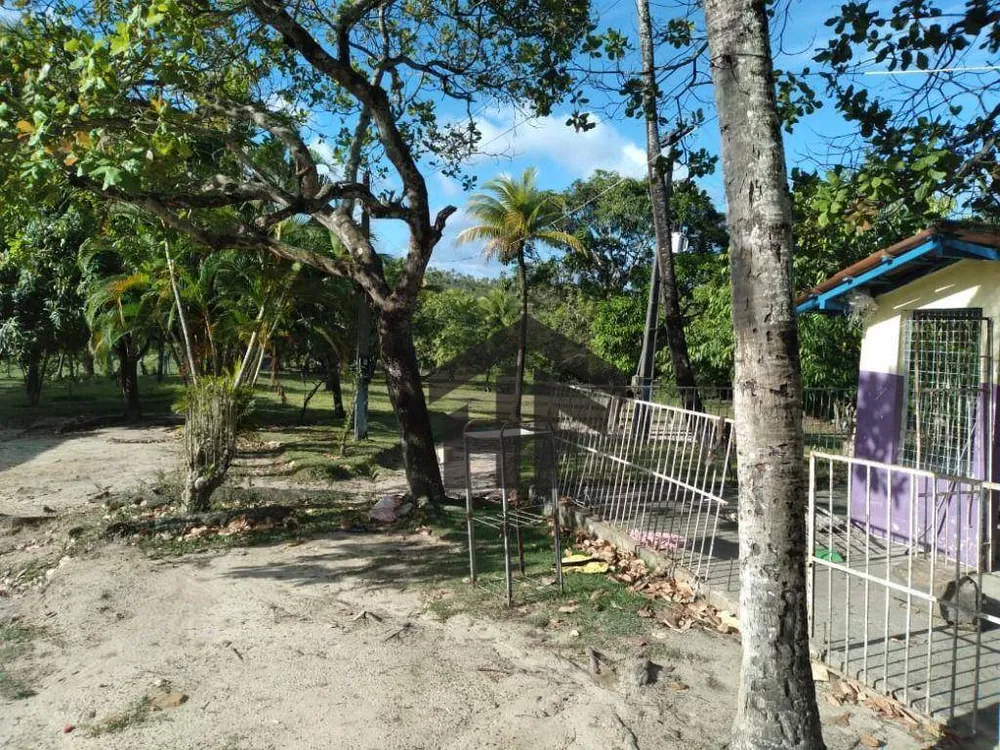 Chácara, 6 quartos, 3 hectares - Foto 1