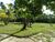 Chácara, 6 quartos, 3 hectares - Foto 4