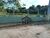Chácara, 6 quartos, 3 hectares - Foto 1